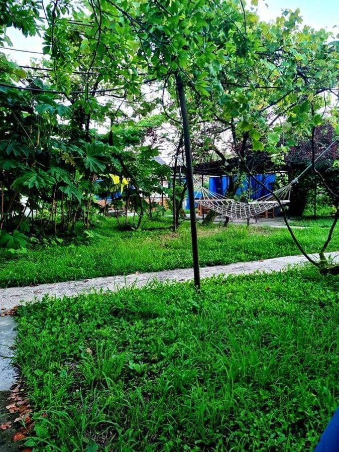 Private House Suliko 호텔 코불레티 외부 사진