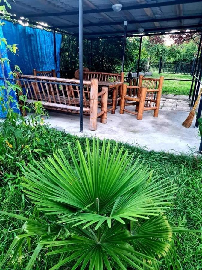 Private House Suliko 호텔 코불레티 외부 사진