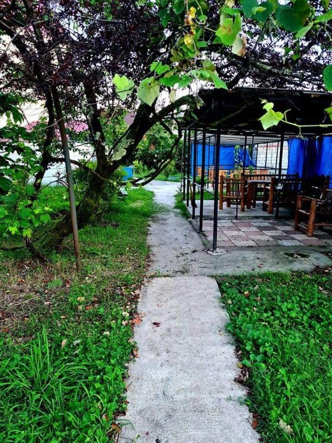 Private House Suliko 호텔 코불레티 외부 사진
